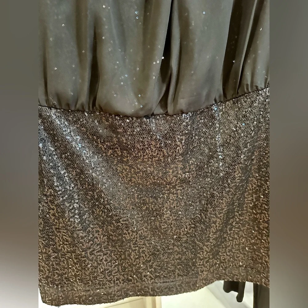 BRAND NEW - Gorgeous Sequined & Sheer Dress! π Size 14 - Must See!!! π - Picture 4 of 11